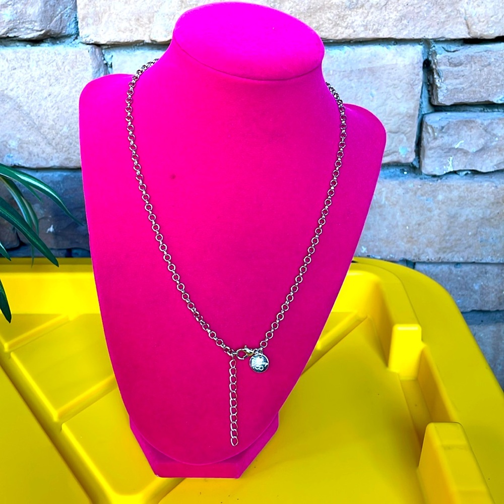 Disney Silver Charm necklace in celebration of 100 yrs